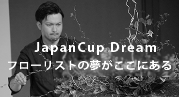 ԃL[sbgjapancup